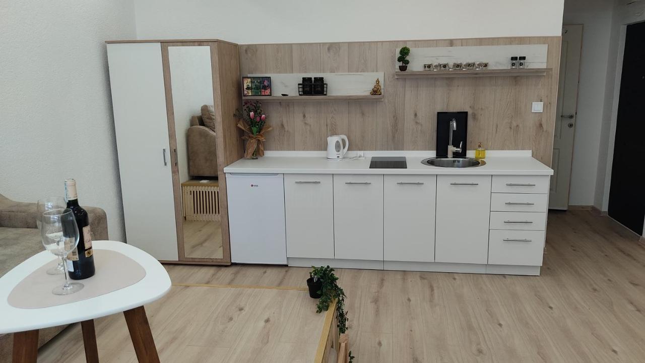 Studio Apartment - A Bit Of Joy Sarajevo Bagian luar foto